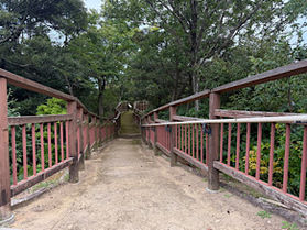絶景への道