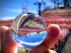2025年秋のサンパチェンスと茶臼山高原の紅葉情報!