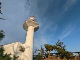 秋の散歩道「龍舞崎」