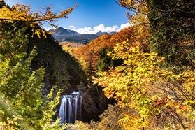 乗鞍高原:善五郎の滝で楽しむ紅葉の絶景