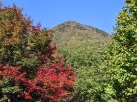 紅葉を楽しみながら♪　ホテルの周辺をウォーキング