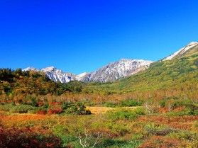 秋の紅葉名所おすすめ4選！！