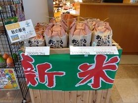 今年も新米入荷しました!