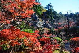 ちょっと早めの紅葉情報~那谷寺~