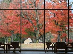 色づきはじめた蒜山高原の紅葉情報