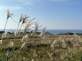 「福井・水分神社──湧水と伝説が息づく静謐な聖地」