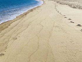 秋の散策は「ブルービーチ那智」がおすすめ