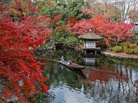 この秋におすすめの和歌山の紅葉スポット