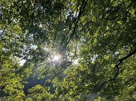 休暇村帝釈峡を満喫！家族旅行におすすめの宿泊プラン