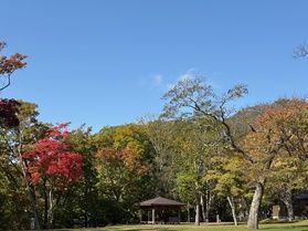 支笏湖周辺~紅葉情報~