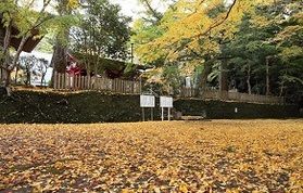 南房総のもみじ寺『檀特山 小松寺』