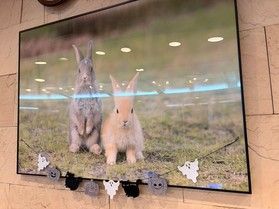 大久野島でハロウィン楽しみませんか?
