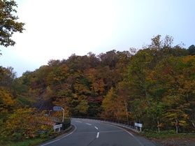 🍁 山装う 🍁🍂