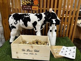 ブランドじゃがいも詰め放題!