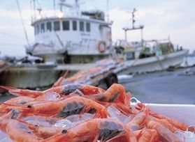 「福井の美味、四天王を味わう」