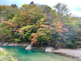 自然が織りなす景色「葛根田渓谷」(10/20現在)