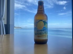 クラフトチューハイ 南房総レモン