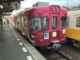 ことでん琴平線 ヤドンの電車