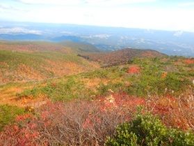 安達太良山の紅葉が見頃です