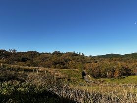 【紅葉情報】今が行きどき！阿蘇山「ススキ」　
