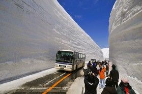 予約始まっています🚌<br>2026年度 雪の大谷ウォーク