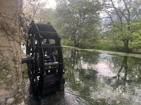 大王わさび農場
