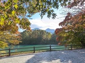 【2025/10/24撮影】五色沼の紅葉