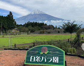 休暇村富士周辺に秋を探しに行ってきました！！