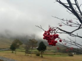 10//27鏡ヶ成「紅葉情報」