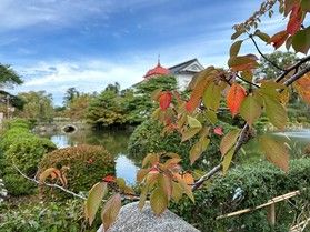 紅葉が見頃です！鶴岡公園で秋の訪れを感じよう♪