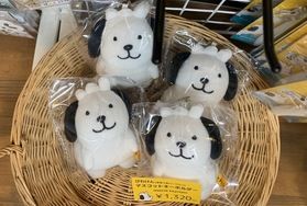 びわけん