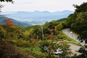 今、紅葉が楽しめる「国道292号」