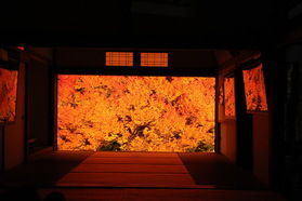 紅葉情報　「安国寺」