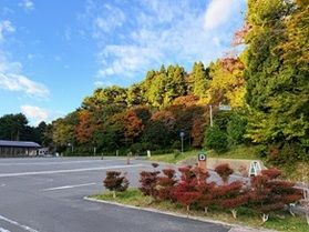 【2025 陸中宮古 周辺紅葉情報】vol.2