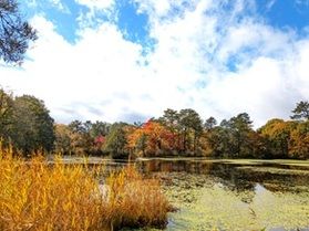 【2025/10/28撮影】休暇村裏磐梯周辺の紅葉