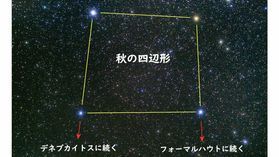 冬の星座が見え始めています&【紅葉情報】