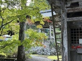 福井・明通寺で感じる静寂と美 ― 写真で巡る癒しの旅