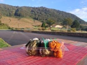 約1年ぶりに復活!!!大山鶏の唐揚げ付きおにぎり弁当