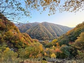 【2025 陸中宮古 周辺紅葉情報】vol.3
