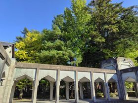 武家屋敷通りの静かな庭園に佇む美術館