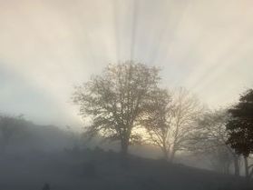 ～朝もやの静けさの中で～