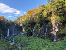 定番観光スポット「白糸の滝」