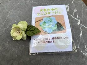 天蚕繭の新商品をご紹介！