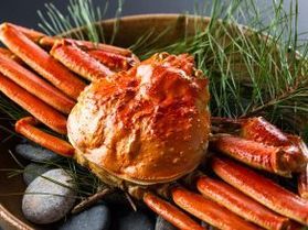 日本海まで遠いけど...カニは食べたい！！