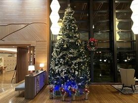 今年もやってきた！巨大クリスマスツリーがロビーに登場