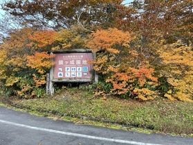 11/6 鏡ヶ成「紅葉情報」