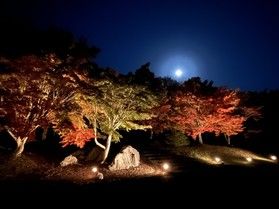 【体験プログラム】紅葉ライトアップ