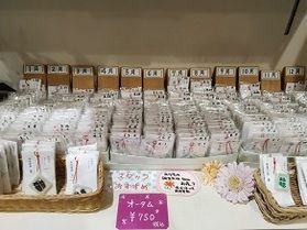 幸福の芽が出る誕生花、売店にあります ^^