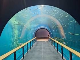 琵琶湖について詳しくなれます!
