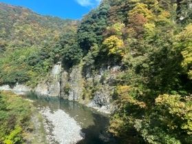 福井の紅葉が見頃を迎えています